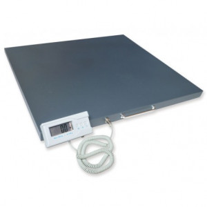 80210 - BILANCIA VETERINARIA - pedana in metallo