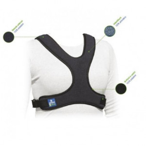 Cintura Pettorale a Corpetto a Farfalla - Moretti KOALA RP215