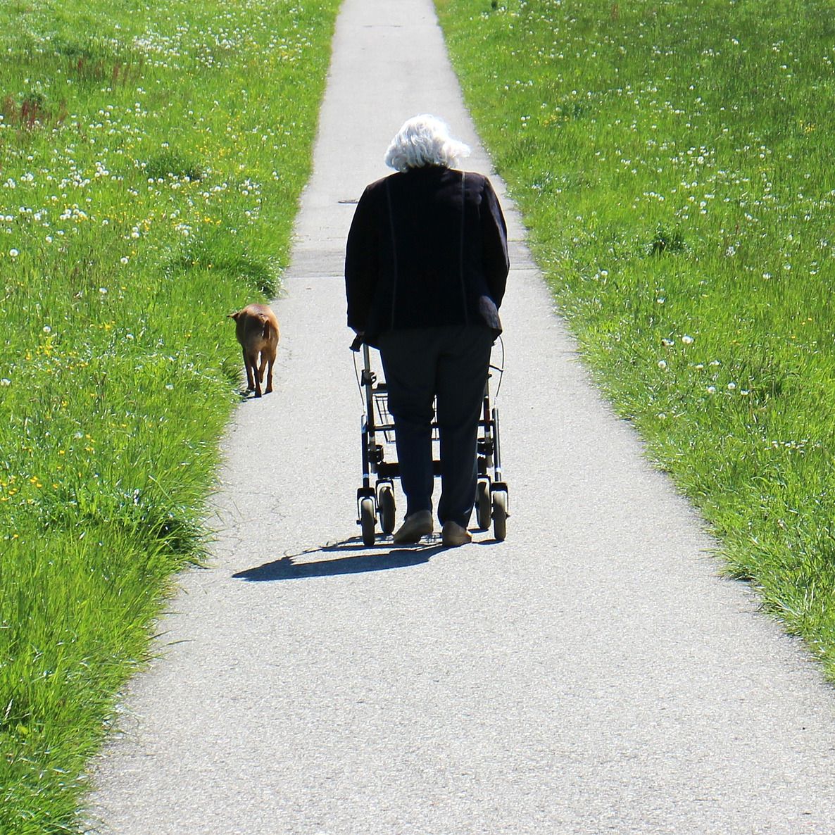 Deambulatore rollator anziani