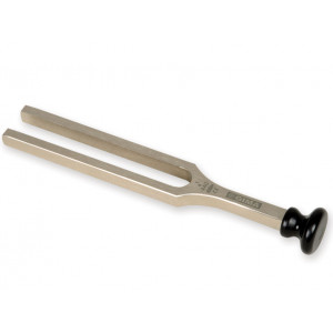 31245 - DIAPASON LEGA 440-Al NEURO