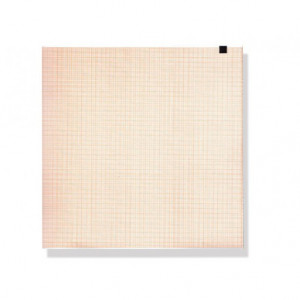 Carta termica ECG 210x295 mm - pacco da 150 f. griglia arancio Carta termica ECG 210x295 mm - pacco da 150 f. griglia arancio