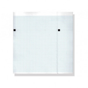 Carta termica ECG 210x150 mmxm - pacco griglia blu Carta termica ECG 210x150 mmxm - pacco griglia blu