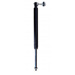 RSR842 - PISTONE BASCULAMENTO RS844