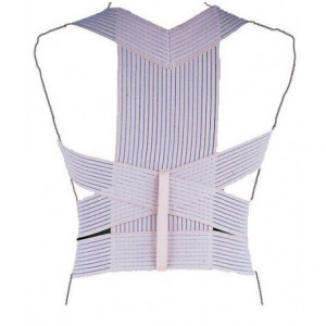 Raddrizzaspalle Con Pannello Dorsale Termigea - 5008