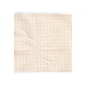 Carta termica ECG 210x30 mmxm - rotolo griglia arancio Carta termica ECG 210x30 mmxm - rotolo griglia arancio